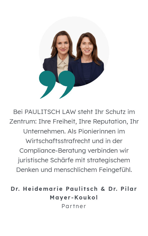 Referenzbild Paulitsch Law Website